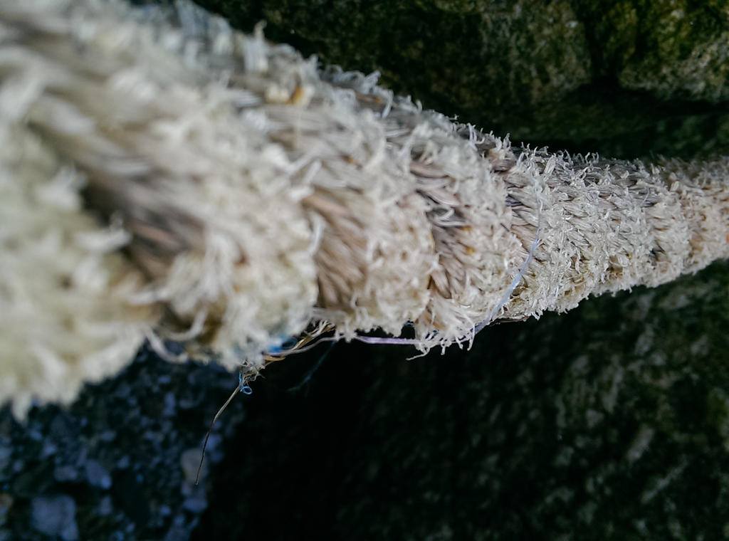 Washed Up Rope washed up rope by sketcha26 on DeviantArt