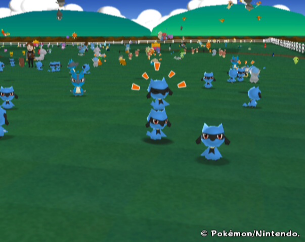 How many Riolu do you See?