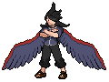 Trainer Fusion Sprite with Braviary