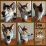 Sam the Coyote