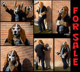 Basset Hound Fursuit!