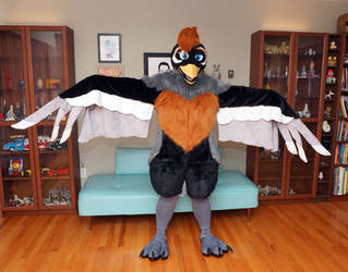 Robin Fursuit (For Sale)