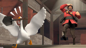 Goose On The Loose [SFM]