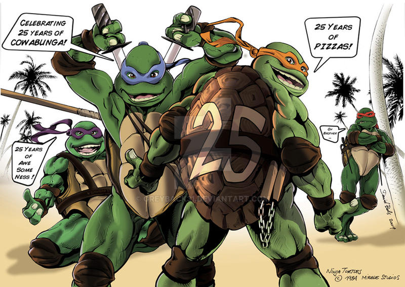 Ninja Turtles 25th Anniversary