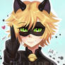 Chat / Cat Noir Fanart