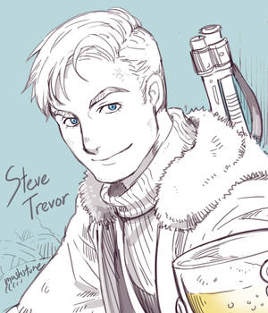 Wonder Woman : Steve Trevor