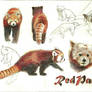 Support Red Pandas