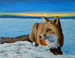 Tundra Fox by Abuttonpress2Nothing