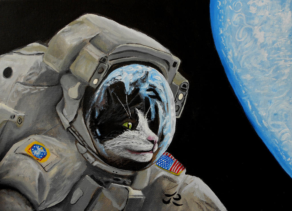 Ground control to Major Tomcat