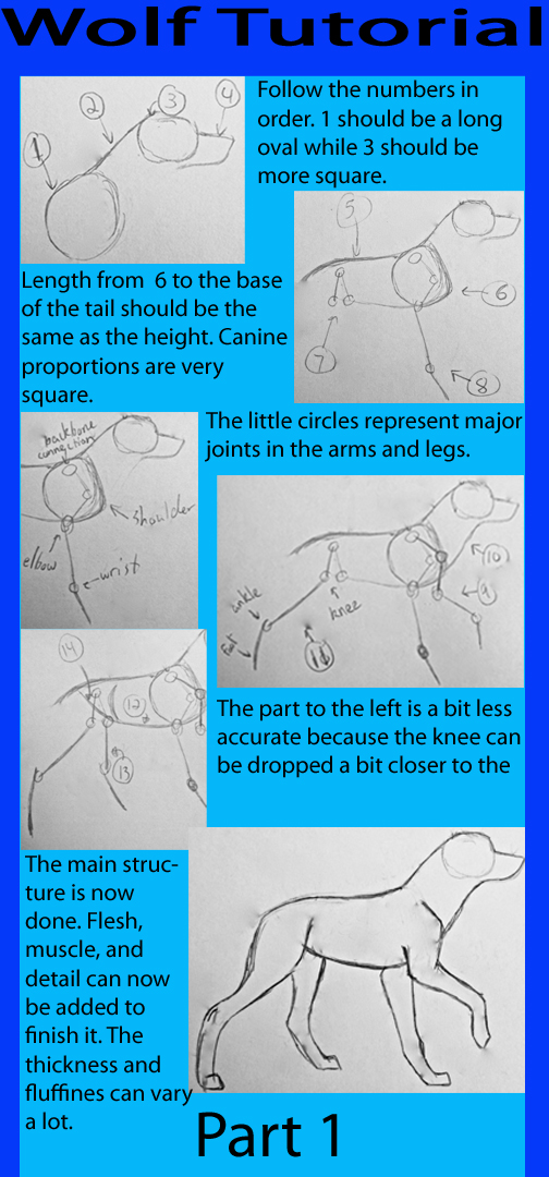 Wolf/Canine Tutorial Part 1