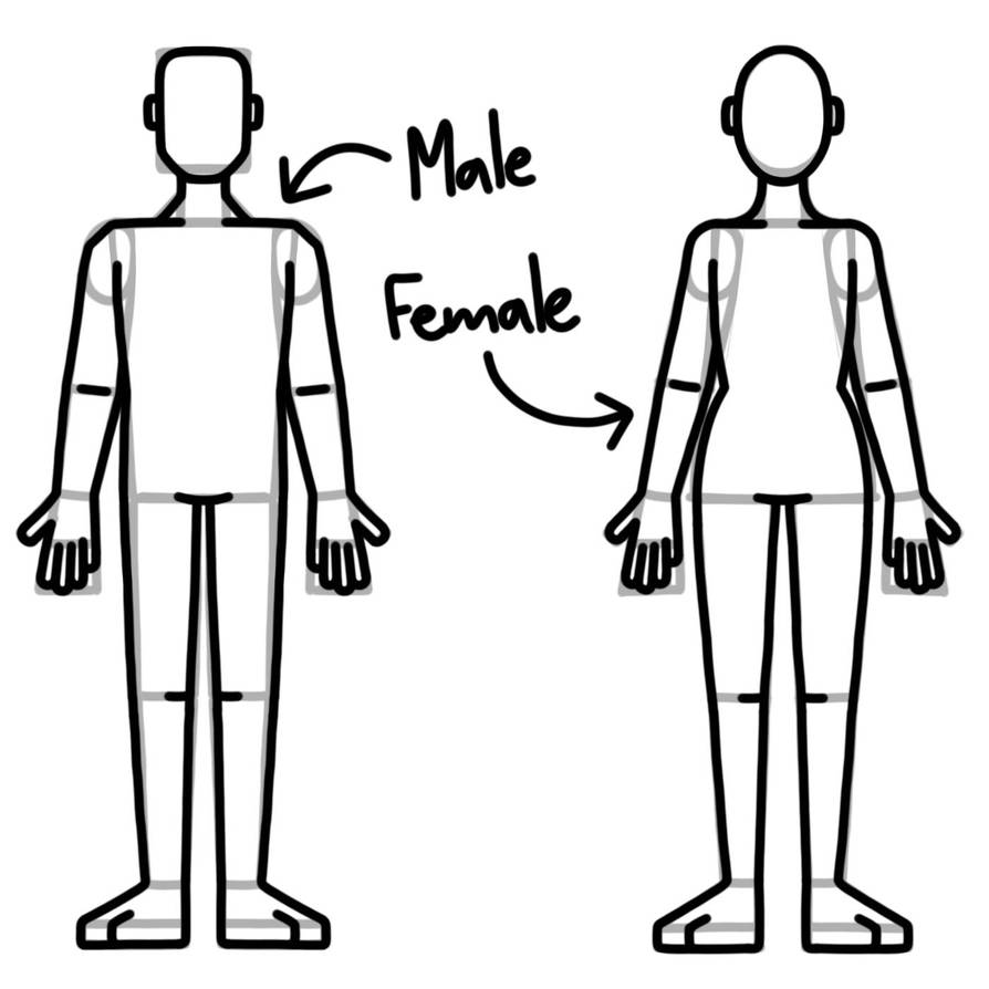 Realistic Human Drawing Test by Eggy543 on DeviantArt