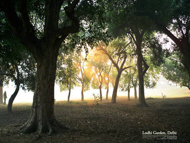 Lodhi garden 8