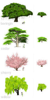 Tree + SD Form Study