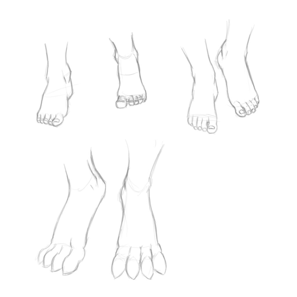 Feet By BrainDigger On DeviantArt solution-suppose-your-actual-height-is-5-feet-and-5-studypool