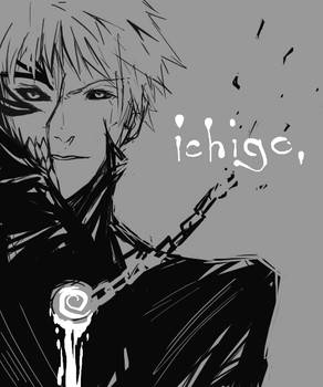 Bleach - Grey