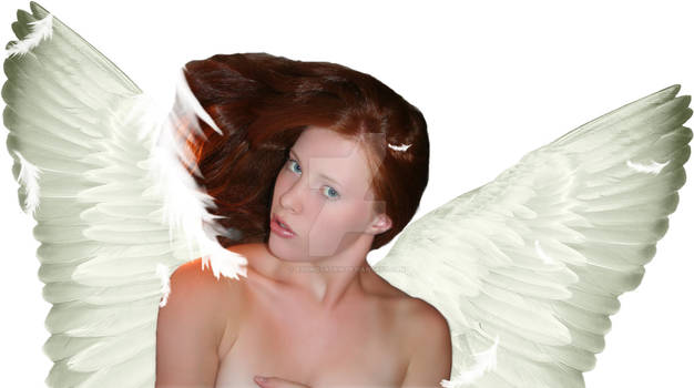 Feathered Angel 2