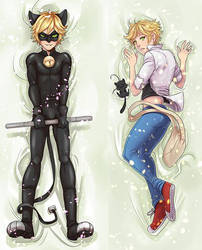 Chat Noir and Adrien Dakimakura