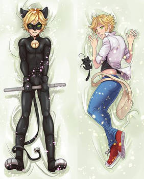 Chat Noir and Adrien Dakimakura