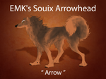 EMKs Souix Arrowhead by EhwazMaddoxKennels