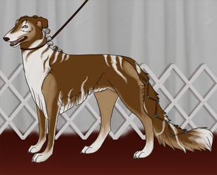 Belle Isengards Dog Show 9/30 by EhwazMaddoxKennels