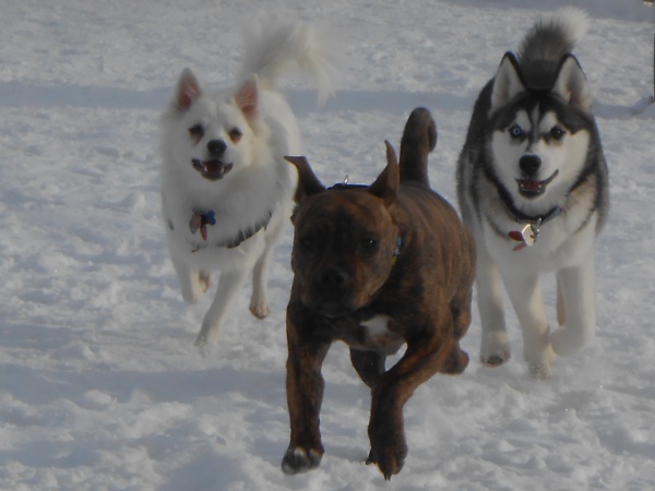 Cloud, Yuki, and a friend!