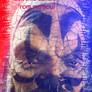 bungle