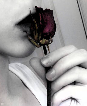 Roses don't taste to good -_-