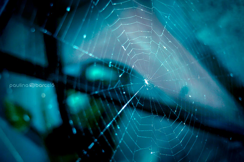 Outward Spider Web Spiderweb by Hyb666 on DeviantArt