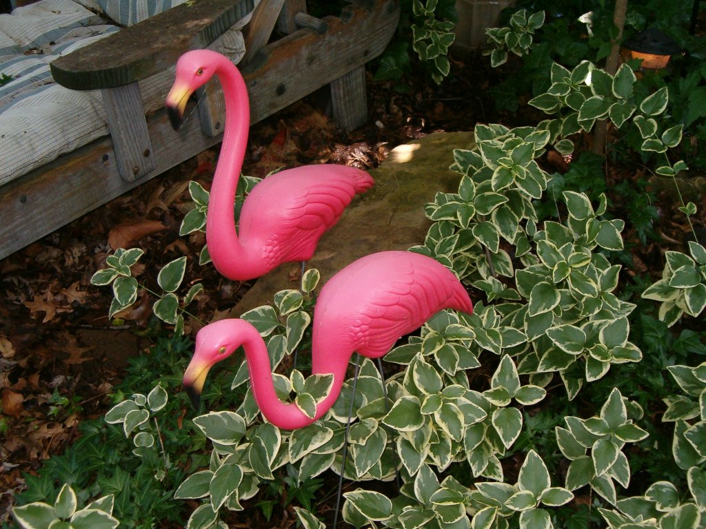 Guardians of the Patio