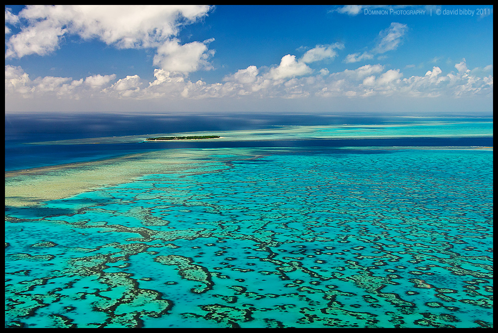 Heron Island