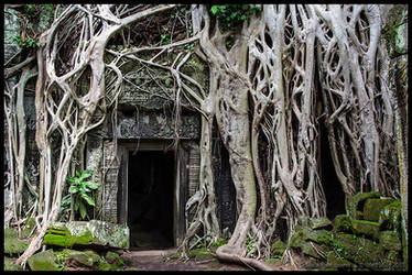 Ta Prohm 2