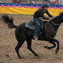 Barrel Racing2