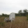 Chair in Field3