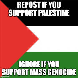 Stop Palestine Abuse