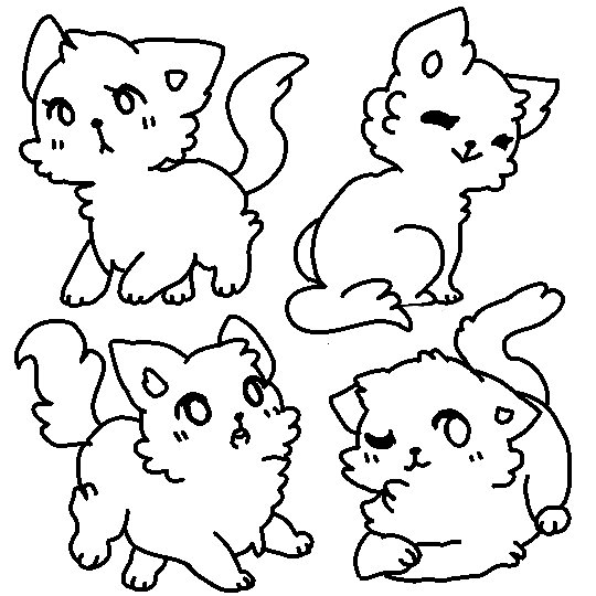 CAT BASES 2