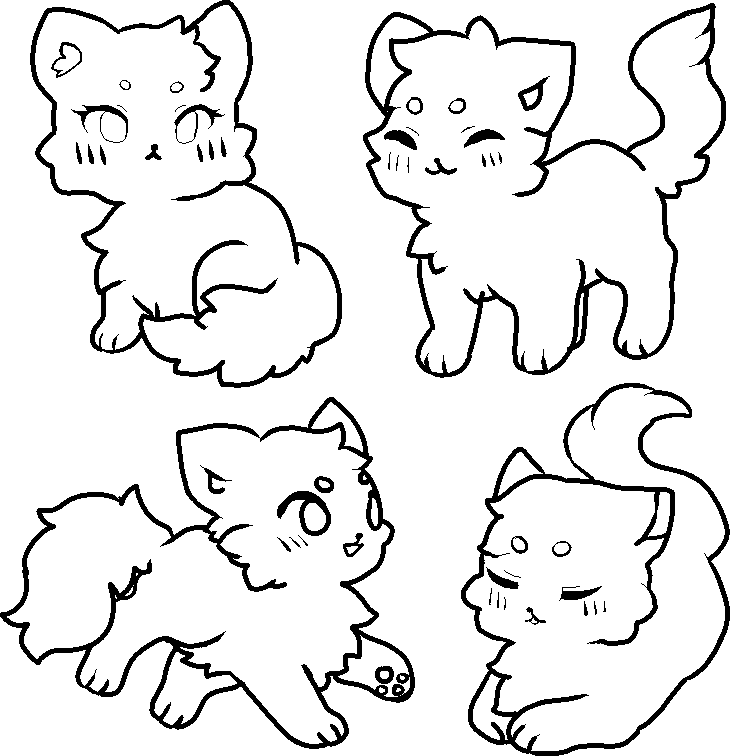 CAT BASES 4