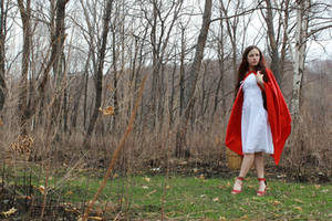 Little Red Riding Hood 1