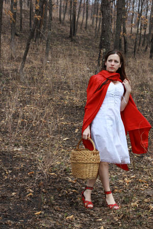 Little Red Riding Hood 6 by Anariel-Stock