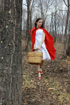 Little Red Riding Hood 8