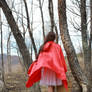 Little Red Riding Hood 10