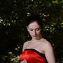 Red Satin Portrait 16