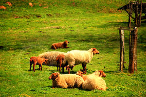 lunch-break-wm-IMG 9978 by Geraldinejane