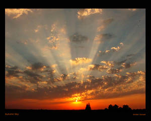 Autumn Sky