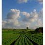 My Field of Vision