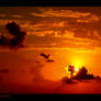 Fire Within