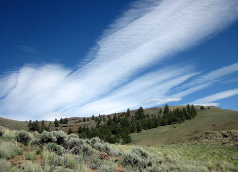 Certainly Cool Cirrus Clouds