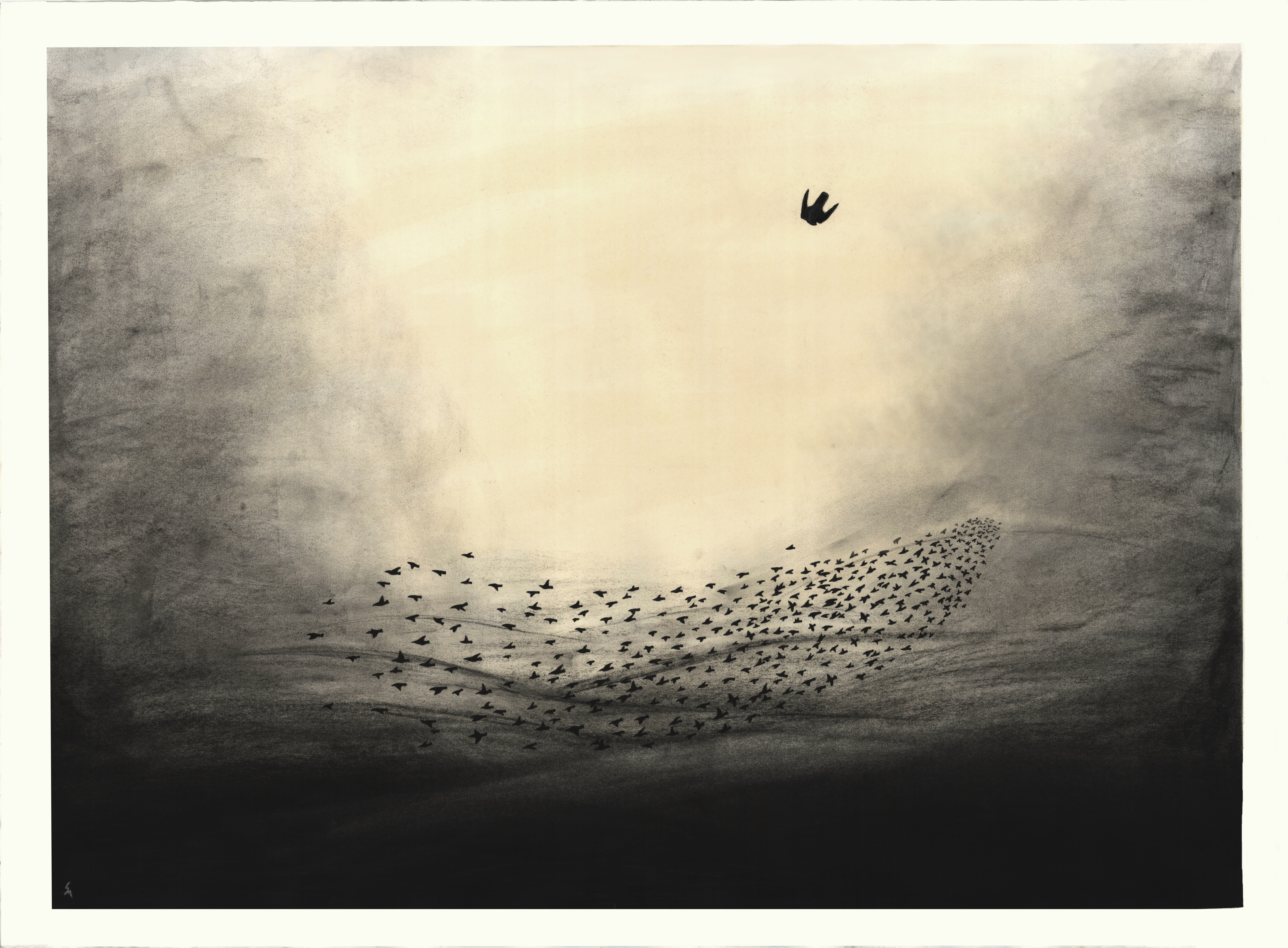 Peregrine Stoop