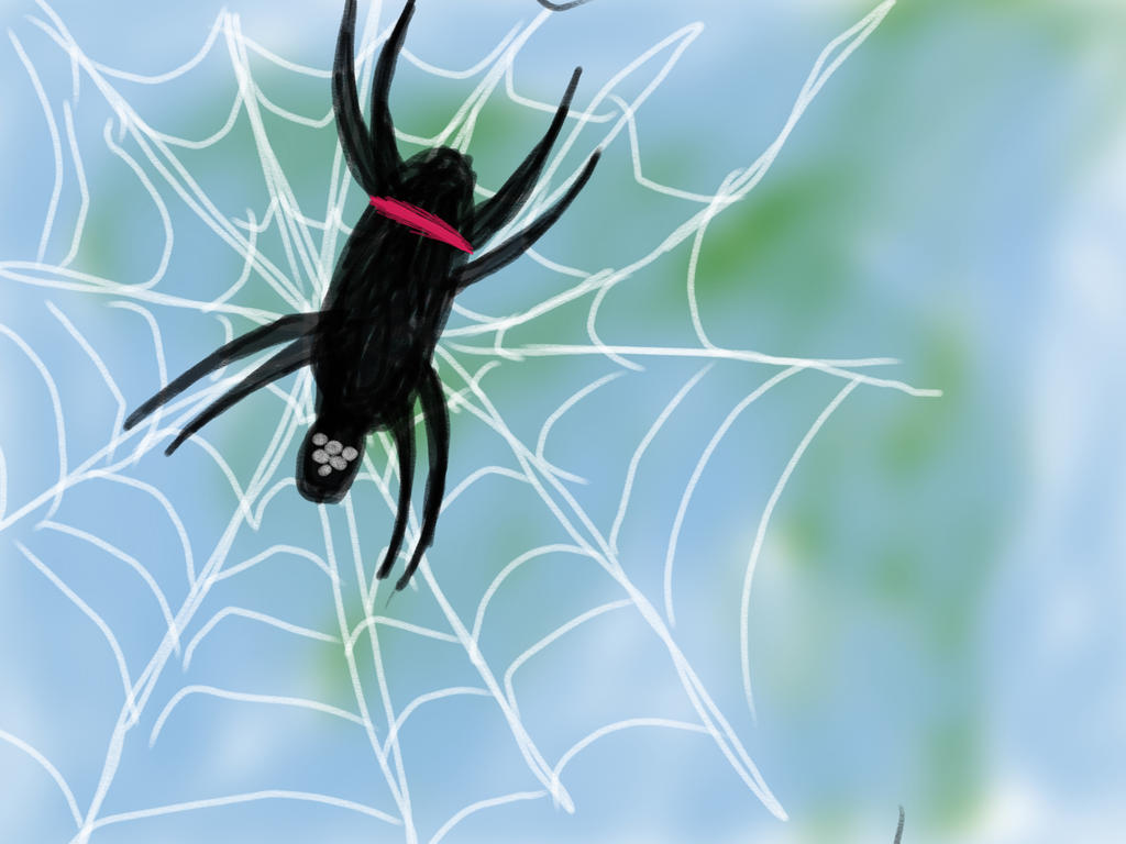 Spider Insect Deviantart Spider by BelleTheArtistic on DeviantArt