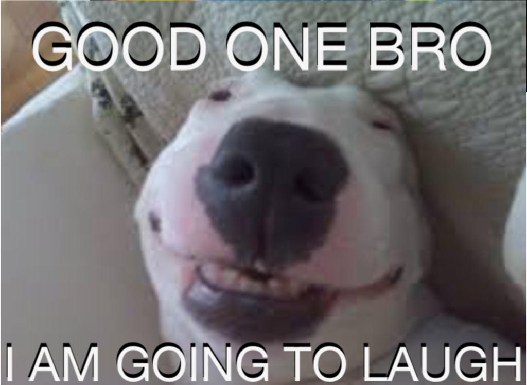 One Bro good one bro, i am going to laugh by SharkEnjoyer29 on DeviantArt
