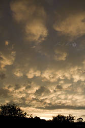 Mammatus at Sunset 2